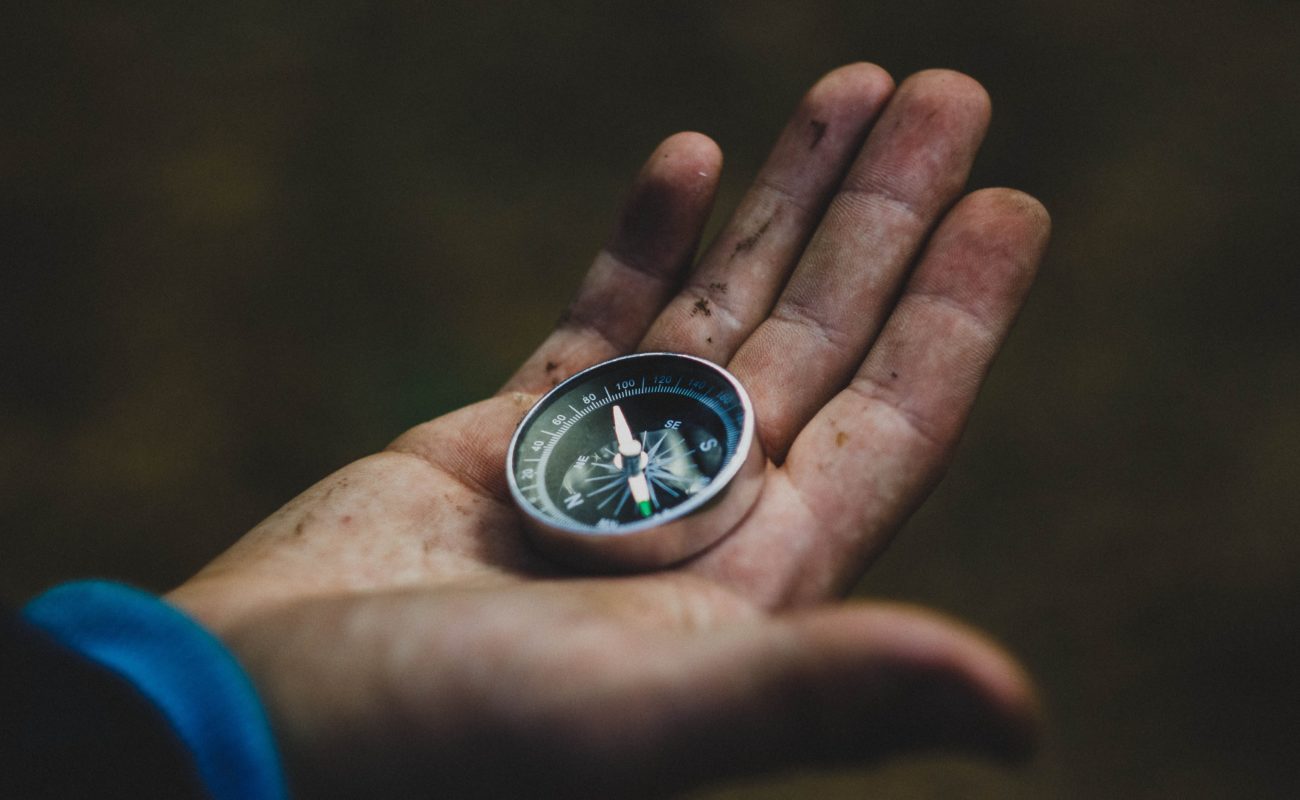 Adapting to the crisis – Some key points